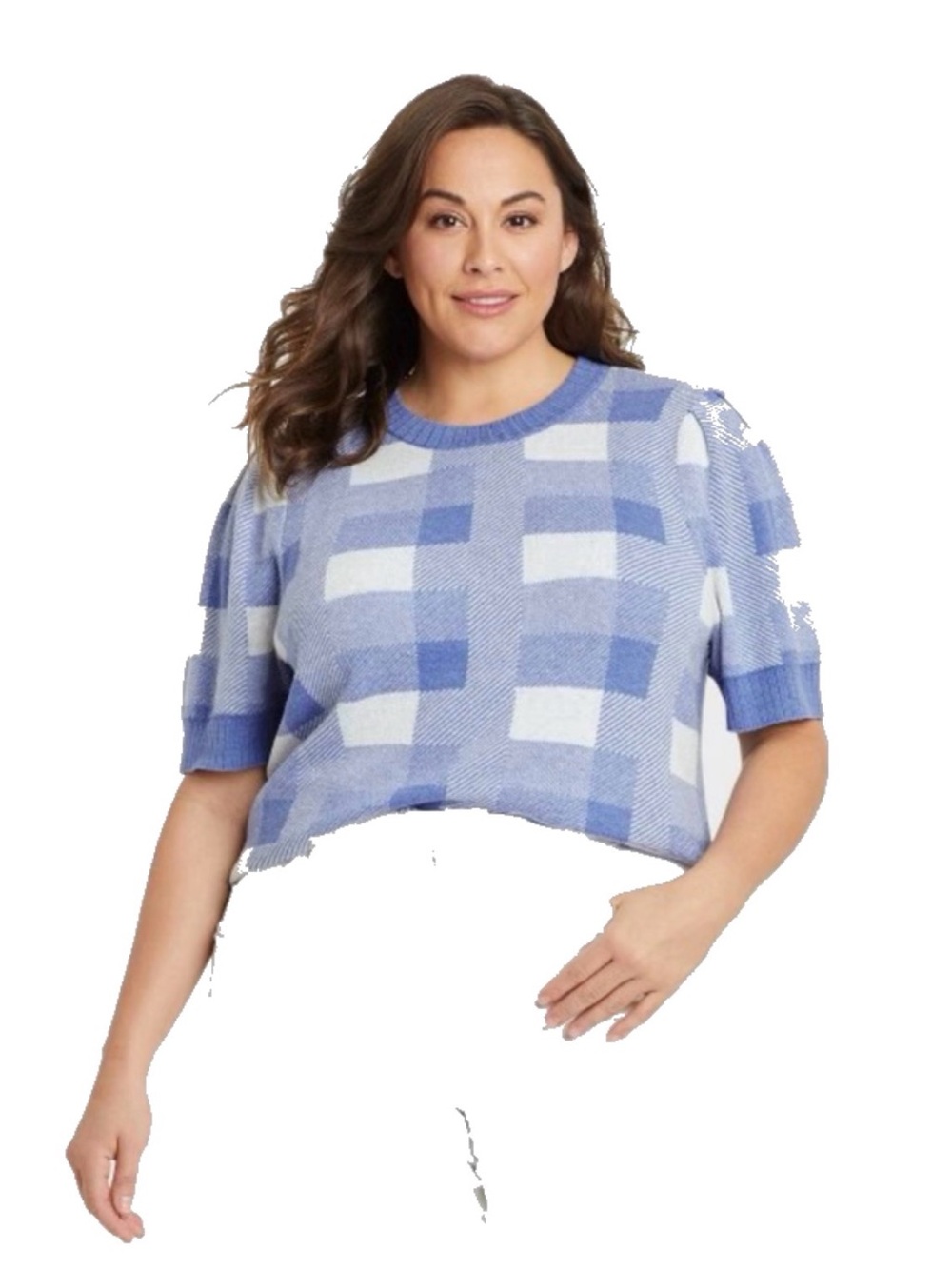 Ava & Viv Blue and Cream Checked Short-Sleeve Sweater 0X